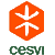 Cesvi